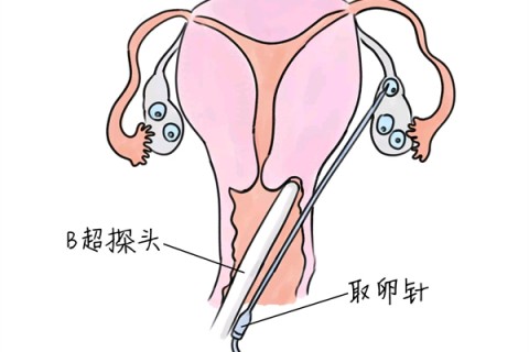 http://beijing.huochezhan.net/post/205.html|北京供卵助孕