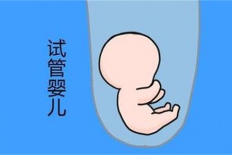 培养北京捐卵宝宝艺术细胞的小技巧